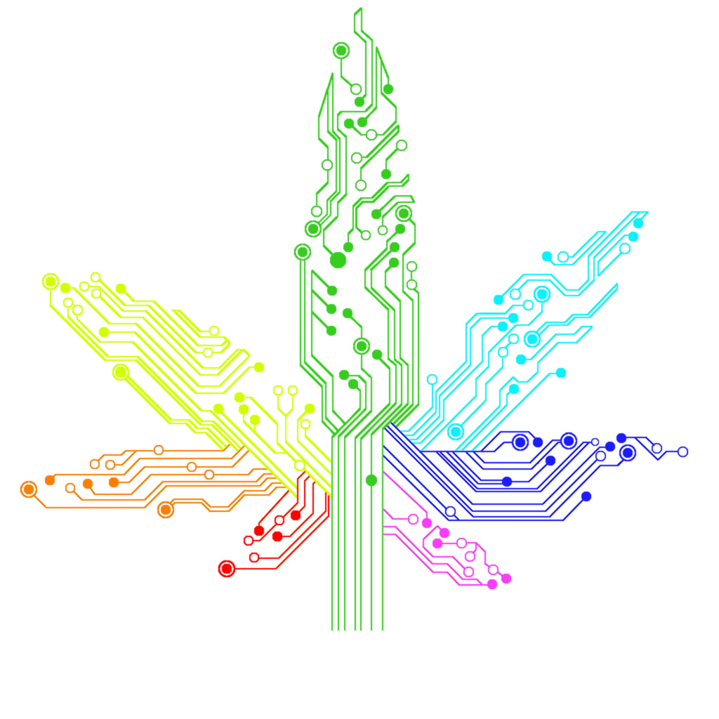 Cannabis Circuit Leaf